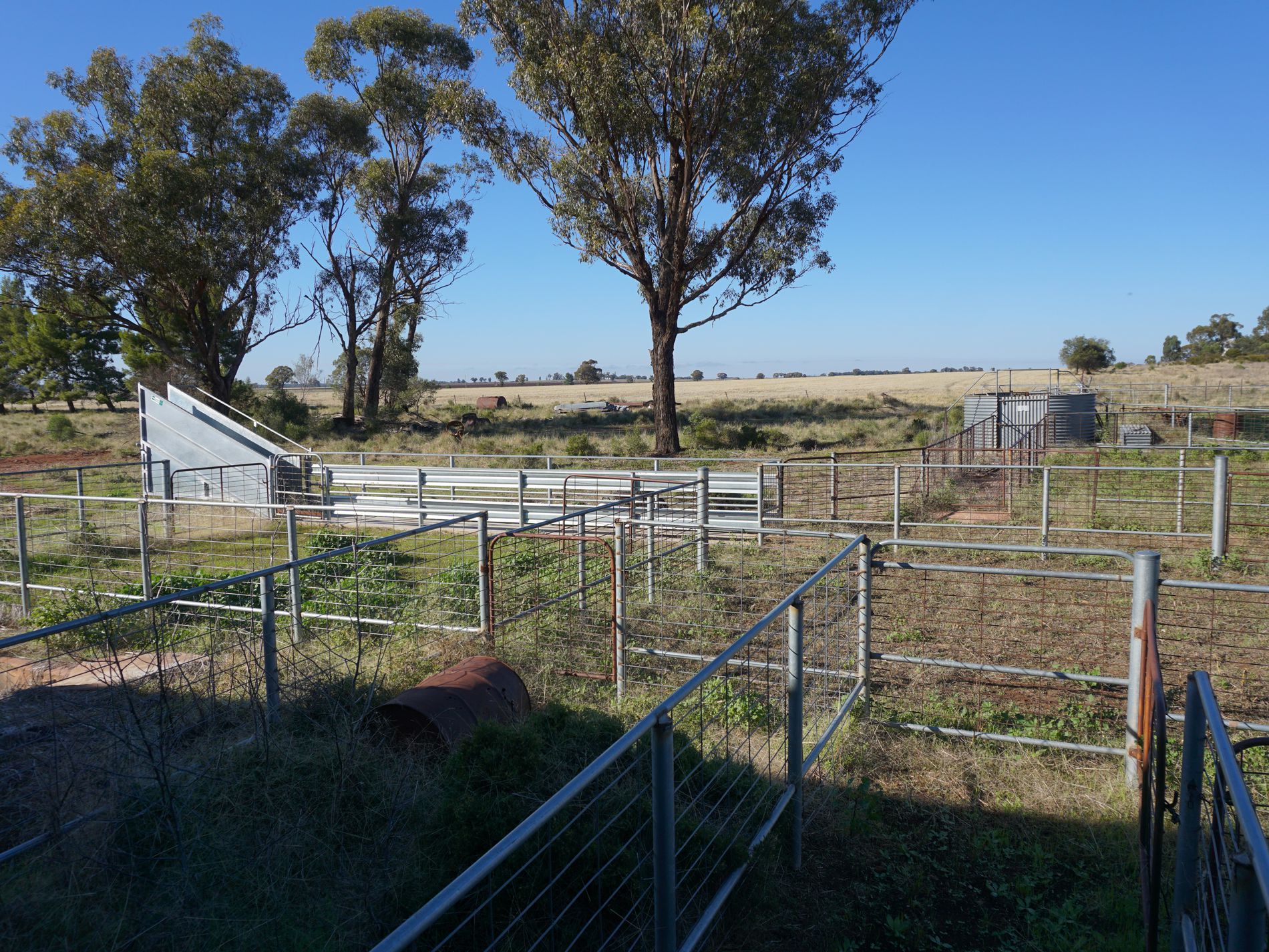 'Durringle' 104 Pfeiffers Lane, West Wyalong