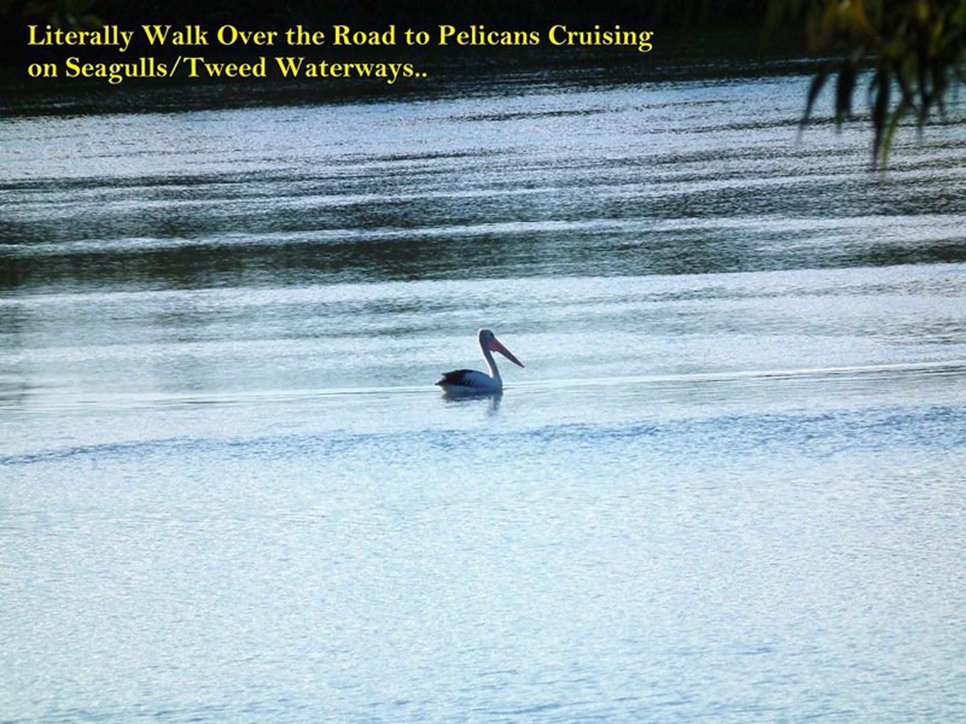 22 Inlet Drive, Tweed Heads West