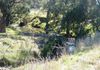 - Bowan Park Road, Orange