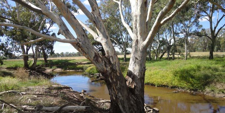 776 Shepparton - Euroa Road, Euroa