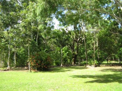 172 Endeavour Valley Road, Cooktown