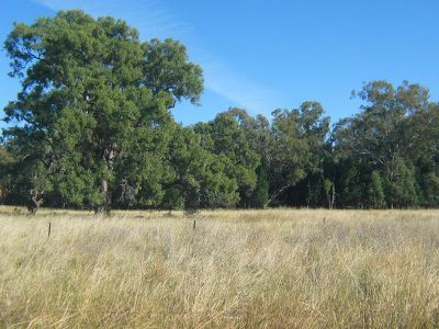 2234 Wandobah Road, Gunnedah