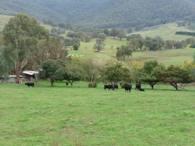 534 Hellhole Creek Road, Kergunyah