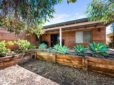 45 Mccleery Street, Somerville