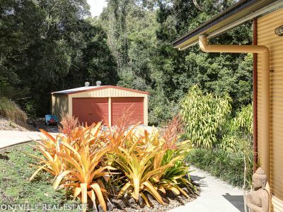 43 Maroochy Spring Dr, Dulong