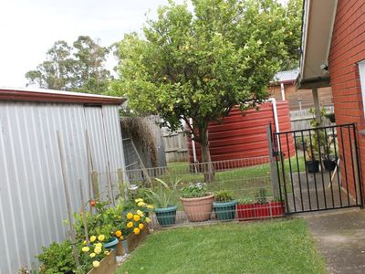 17 Third Street, Millicent