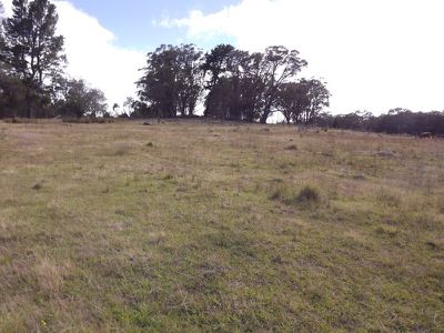 Lot 31, Silentgrove Road, Torrington