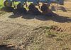 Hazelbrook Farm Nursery - 270 Pine Road, Penguin