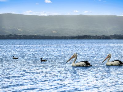 816 / 138 Windang Road, Windang