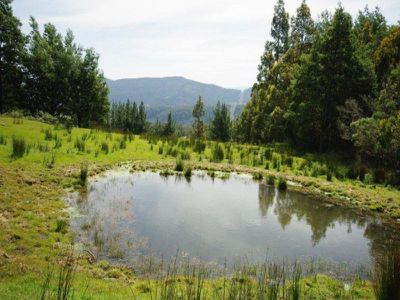 225 Umfrevilles Road, Kaoota
