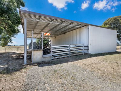 1047 Great Alpine Road, Tarrawingee