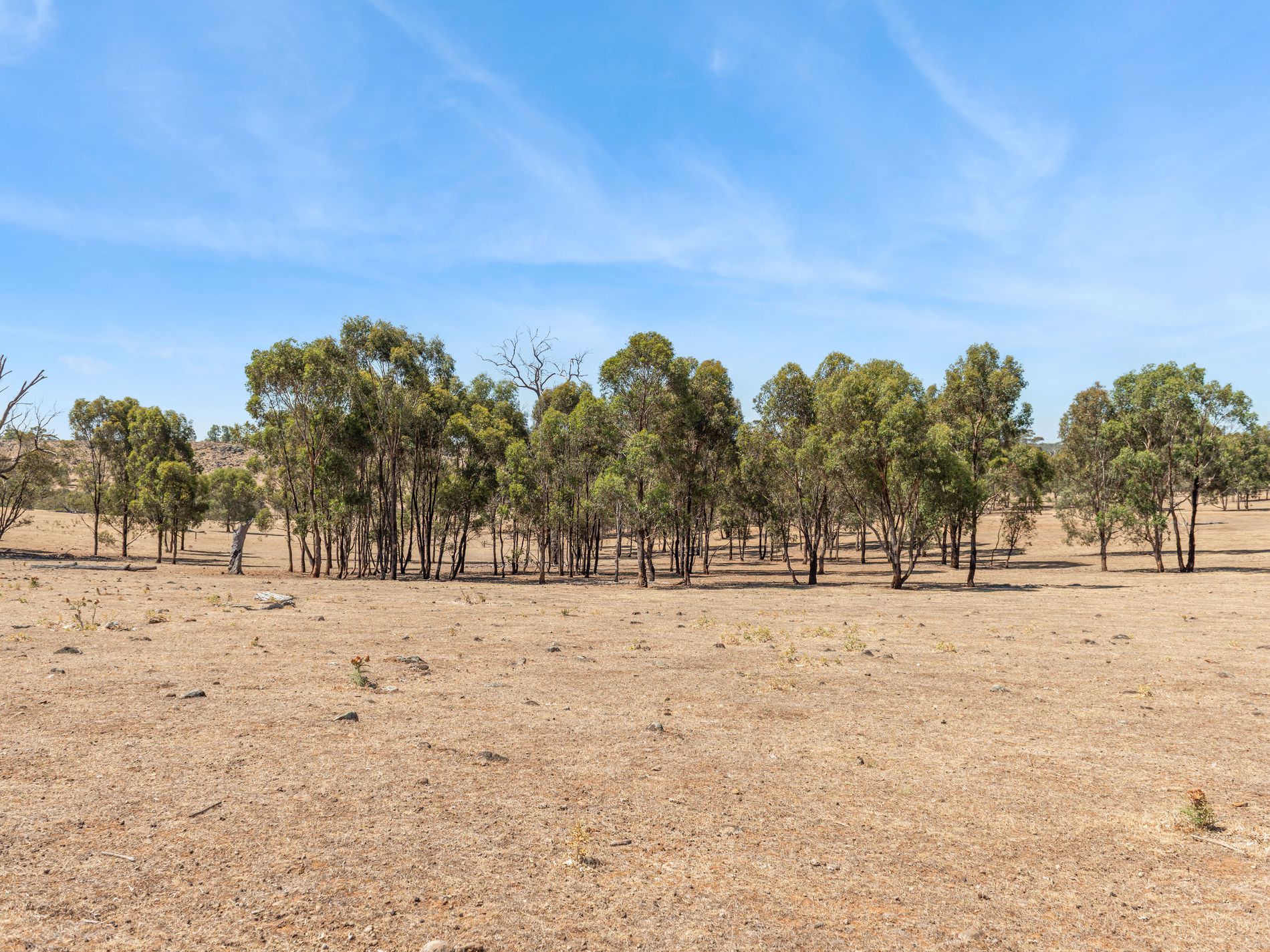 Lot 2, 93 Axedale Quarry Road, Axedale