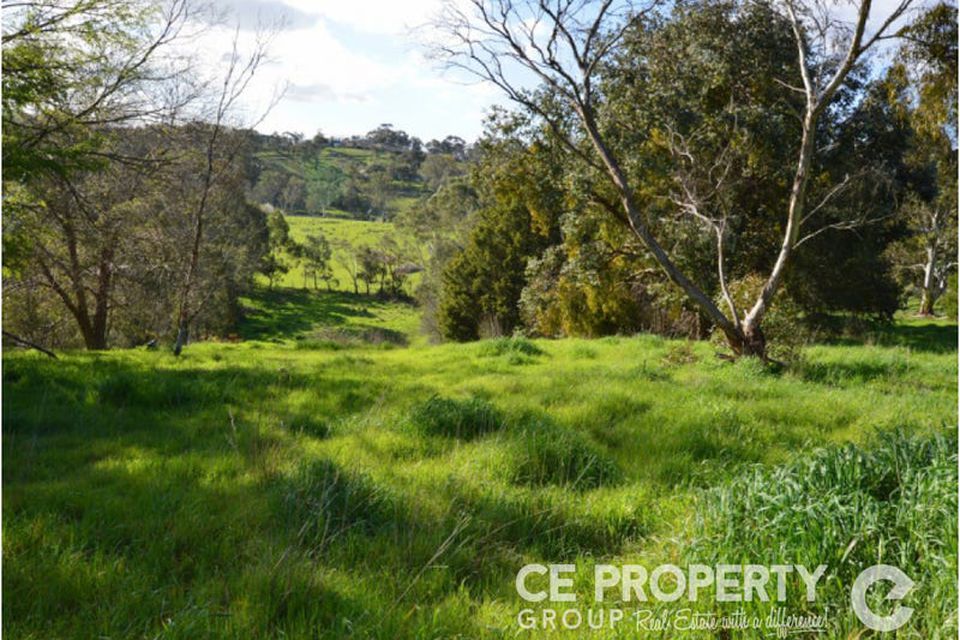 38 Hollands Creek Road, Cudlee Creek