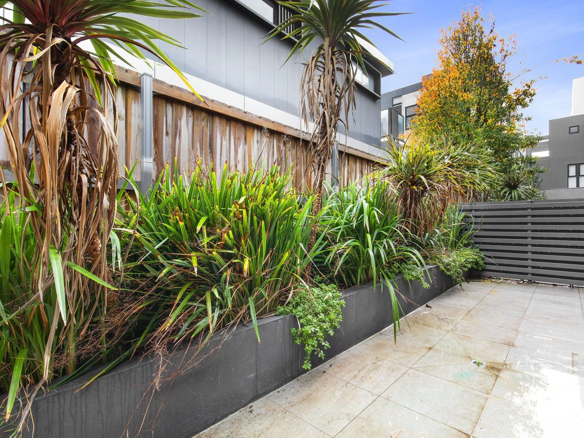 5 / 405 Neerim Road, Carnegie