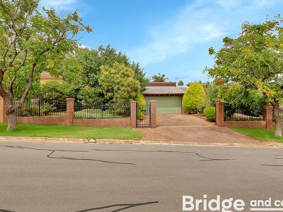 16 John Cleland Drive, Beaumont