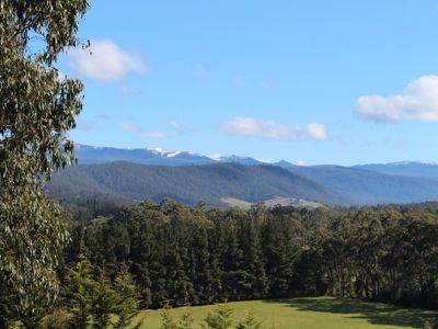 372 She Oak Road, Judbury