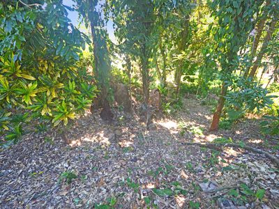 4 Elizabeth Street, Flying Fish Point