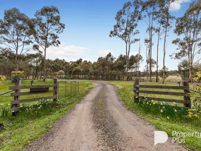 403 Ottreys Scrub Road, Walmer