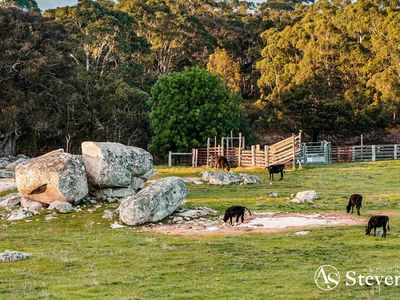 600 Tooborac-Baynton Road, Glenhope East