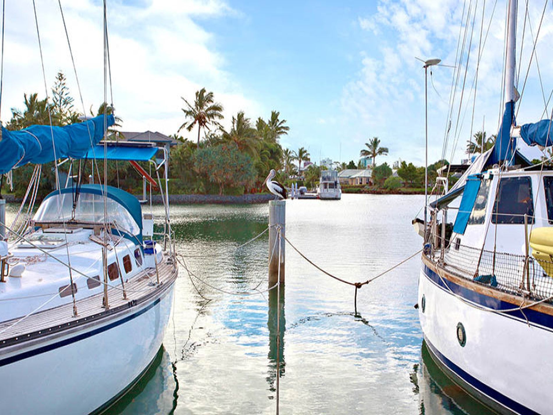 16 / 3 Island Drive, Tweed Heads