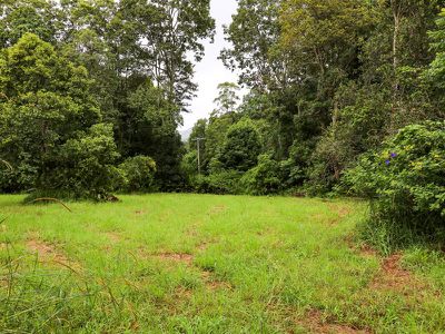 138 Gungas Road, Nimbin