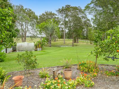 1372 Greenridge Pinbarren Road, Pinbarren