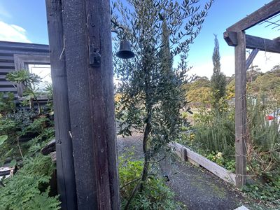 Dodges Ferry