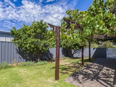 12 / 44 Tenth Avenue, Maylands