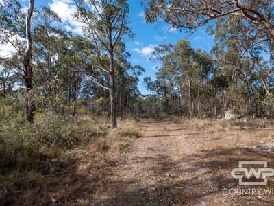 Lot 47, 1527 New England highway, Dundee