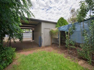 60 Bourke Street, Lamington