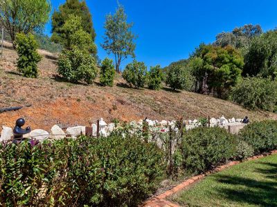 53 Tarrant Lane, Yackandandah