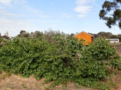 63 Sandhurst Street, Raywood