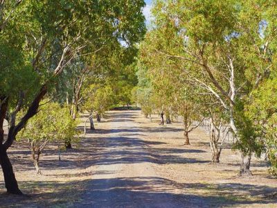 454 Howes Creek, Mansfield