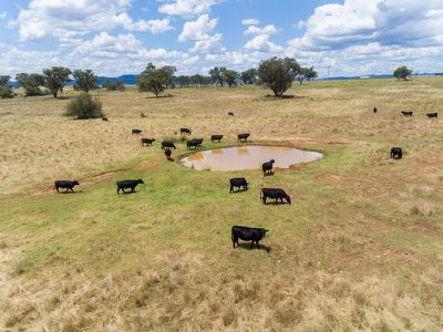 730 Ascot-Calala Road, Tamworth