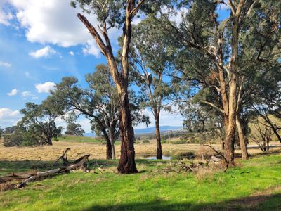 84 Owens Creek Drive, Mansfield