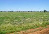 605 Pangee Road, Nyngan