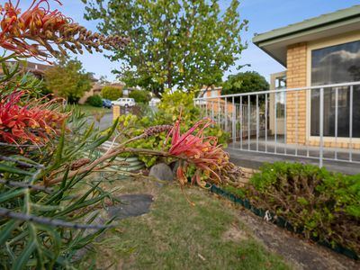 376 Argyle Drive, Kingston