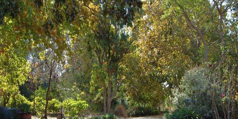 Long Gully Road, Violet Town