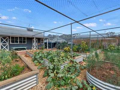 3 WILSON ROAD, Heathcote