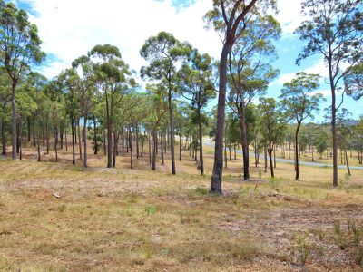 Lot 8 Grenenger Road, Pambula