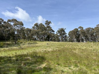 Lot 143, 6875 Taralga Road, Taralga