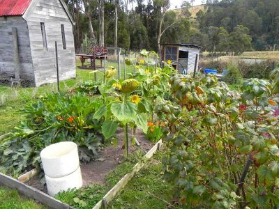 Gardners Bay