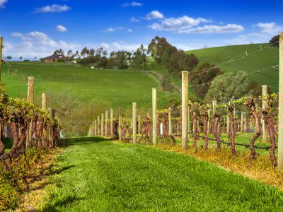 586 Kangaroo Ground St Andrews Road, Panton Hill
