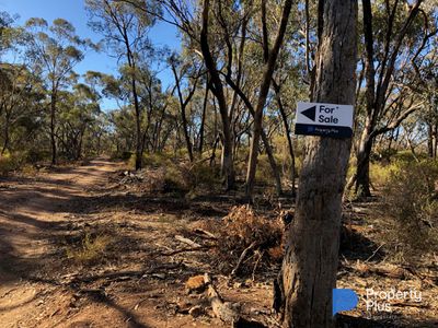 60D Mt. Kerang Road, Buckrabanyule