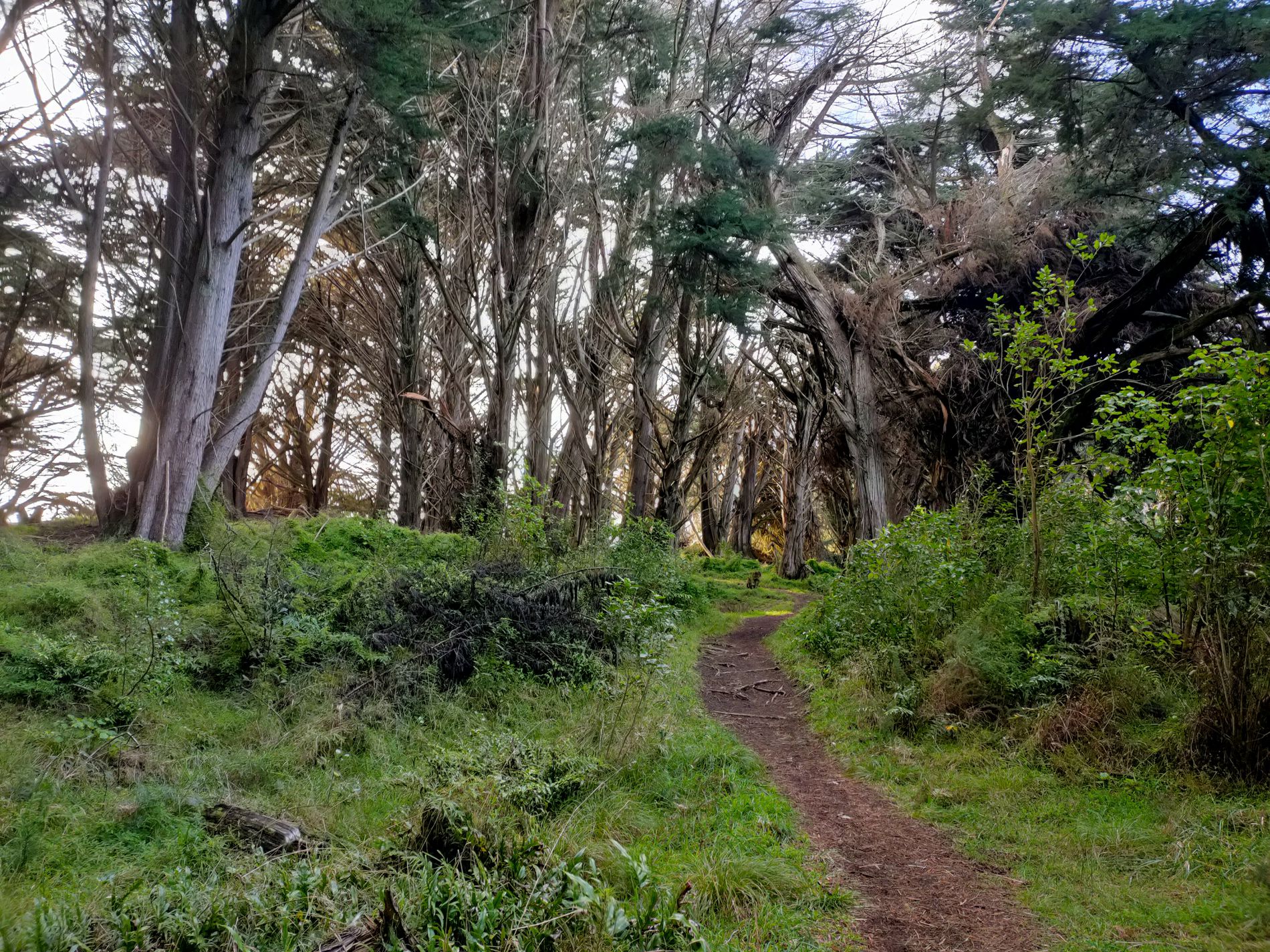 6 Kapiti Lane, Otaki Beach