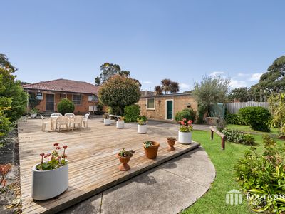 24 Suemar Street, Mulgrave