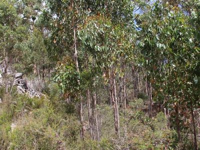 547 She Oak Road, Judbury