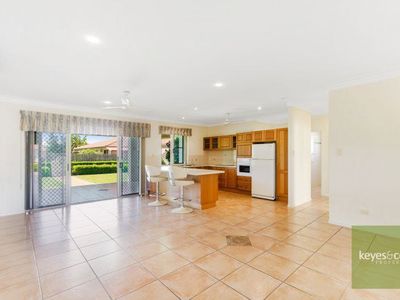 8 Pajingo Court, Annandale