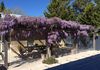 34 Perc Griffith Way, Orange