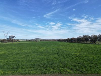 'Willowbank' Urana Road, Jindera